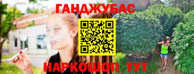 mdpv Заводоуковск