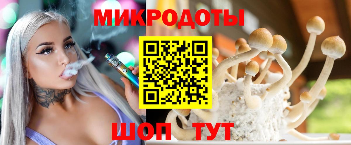 Псилоцибиновые грибы Psilocybe  Псилоцибиновые грибы MAGIC MUSHROOMS  Ипатово  продажа наркотиков  Вход с VPN 